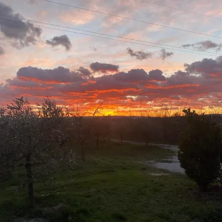 A Casa Di Elena. Arezzo