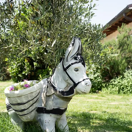 A Casa Di Elena. Arezzo